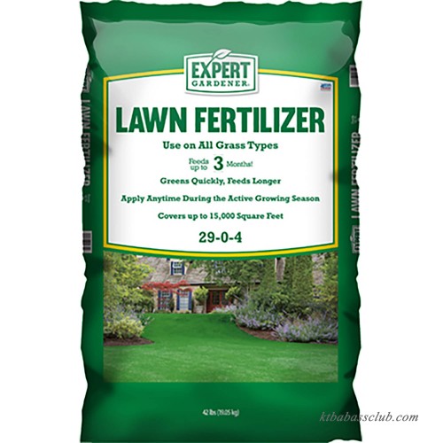 Expert Gardener 15,000 Square Feet Lawn Fertilizer, 29-0-4 563057173